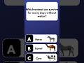 Top 4 Amazing Animal Facts &amp; Quiz! 🐅🧐 #Shorts #Animals