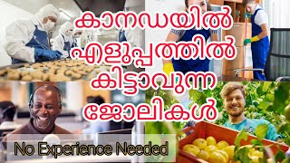 Jobs in Canada that ANYONE can get without ANY EXPERIENCE | Entry Level | Basic Pay Jobs | Malayalam