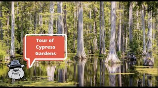 Bulldog Tours: Cypress Gardens