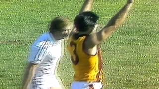 Leigh Matthews Dog Act Against Ken Hunter
