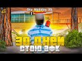 *30 ДНЕЙ СТОЮ АФК* и ЖЕСТКО ФАРМЛЮ - ЛУЧШИЙ АФК ЗАРАБОТОК на ARIZONA RP (samp)