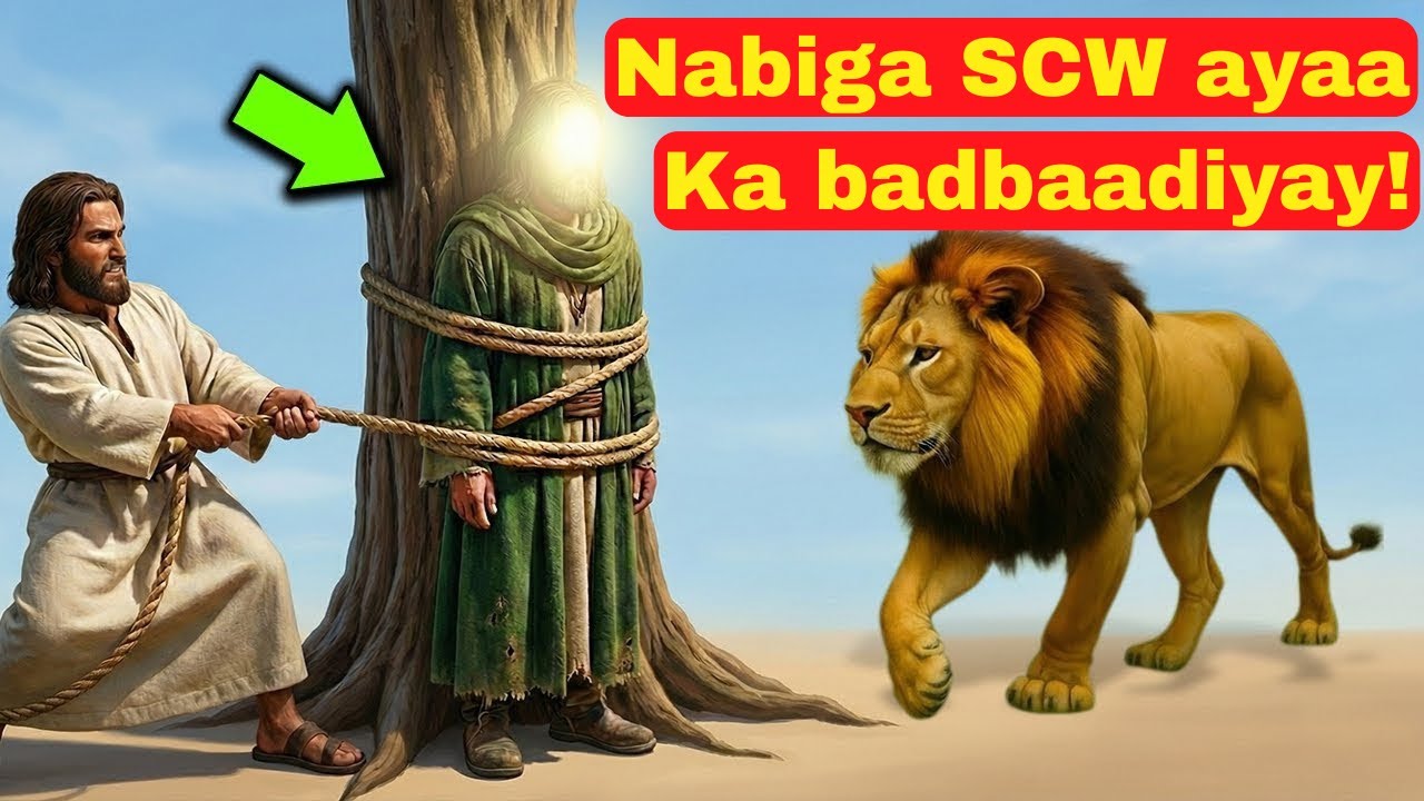 qisada saxaabi uu libaax dili gaaray balse nabigu uu ka badbaadiyay SCW! libaaxu muxuu ku hadlay?