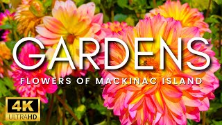 DREAM GARDENS on Mackinac Island | Garden Tour Of Flowers On Michigan's Most Beautiful Island!