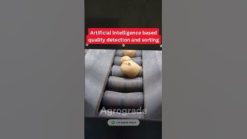 AI-Powered Potato Optical Sorter | Agrograde  #potato #ai