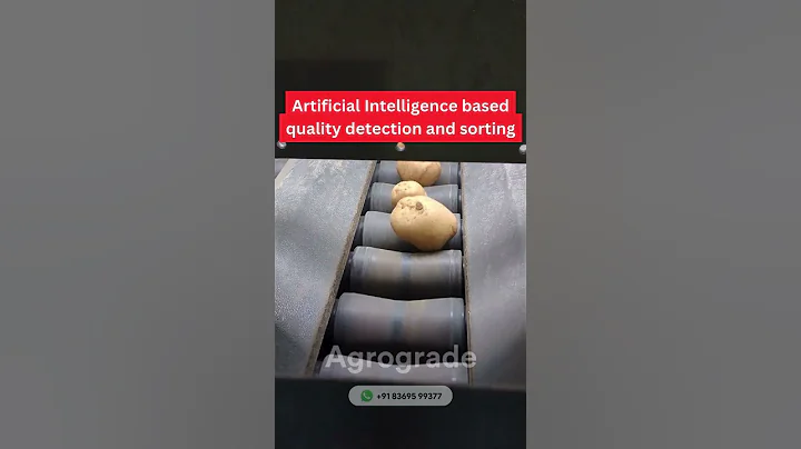 AI-Powered Potato Optical Sorter | Agrograde  #potato #ai