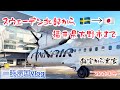 【一時帰国】スウェーデン北部の自宅から福井県大野市の実家まで🇸🇪→🇯🇵