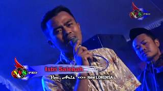 Download lagu 13 Istri salehah