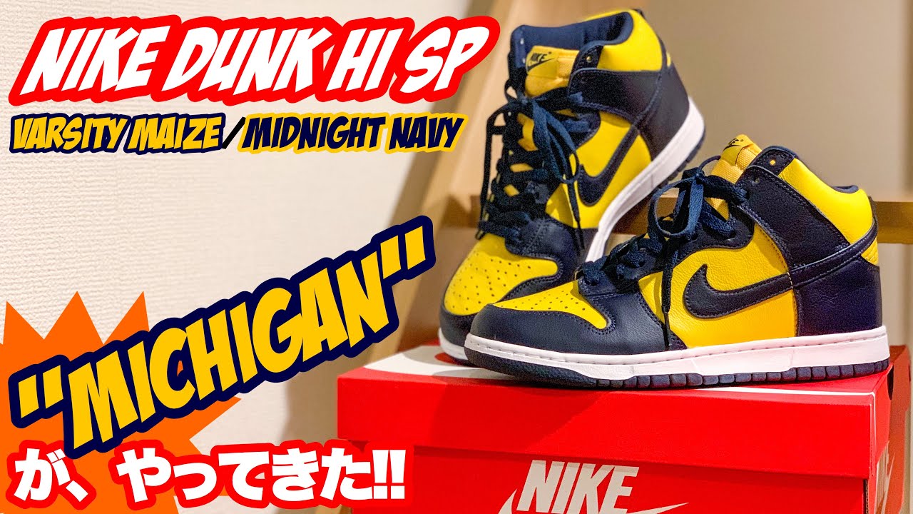 NIKE DUNK HI SP 