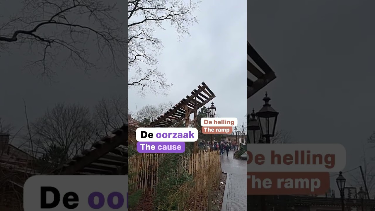 Oorzaak en Gevolg 🇳🇱❤️