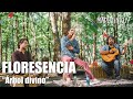 Floresencia (Chile) - Árbol divino (Maputinkuy 2019)