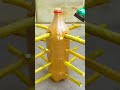 Growing lemon in bottle | growing lemon tree | lemon gardening
