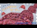 TfM021 ヨークからのトップダウンセーター　段染め糸とソリッドの糸を引き揃えで編みます