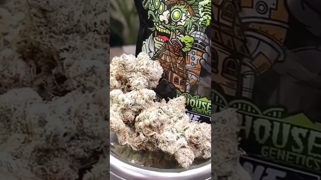 Slurricane Pheno 3 Strain review video.Too bad I already finished the jar haha 