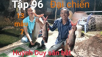 Đại Chiến Hồ 13 mẫu 7. #huỳnhduysănbắt câu cá giải trí, câu cá, câu cá tra, câu cá tra khủng