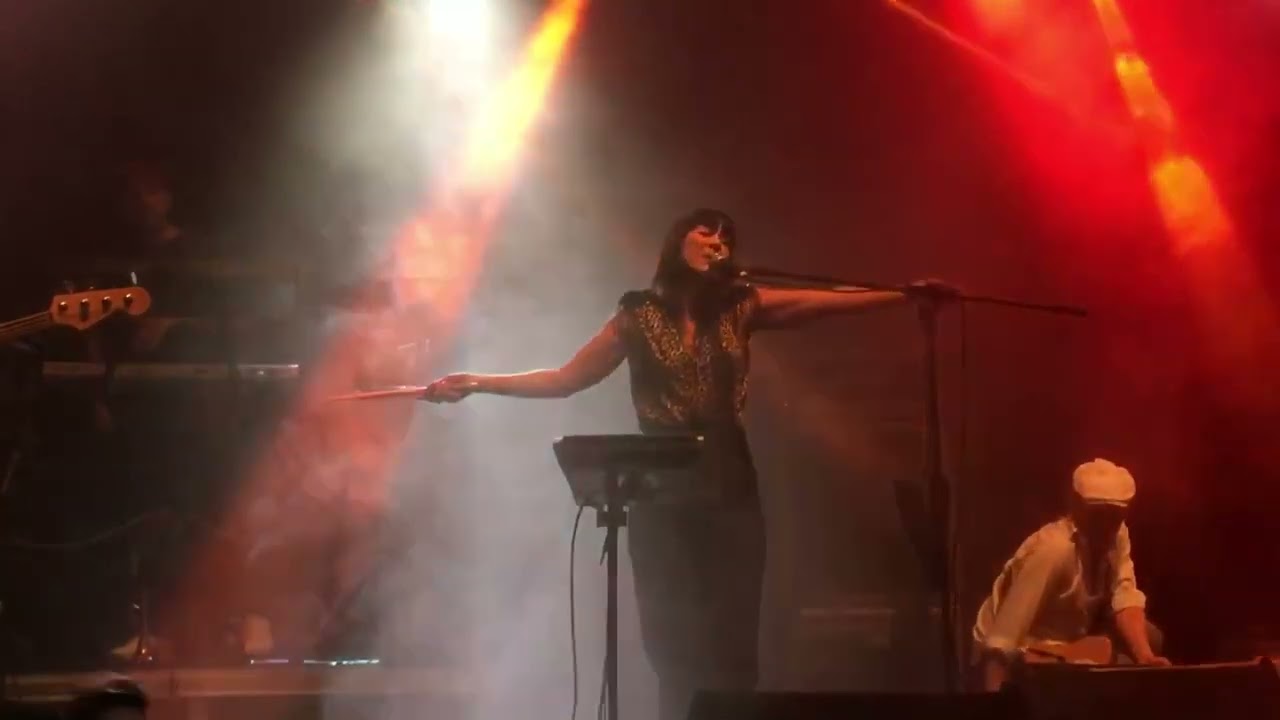 El Columpio Asesino (Ballenas muertas en San Sebastián)