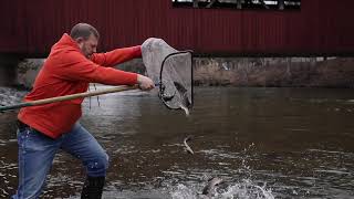 Trout stocking: Pennsylvania trout fishing season 2019