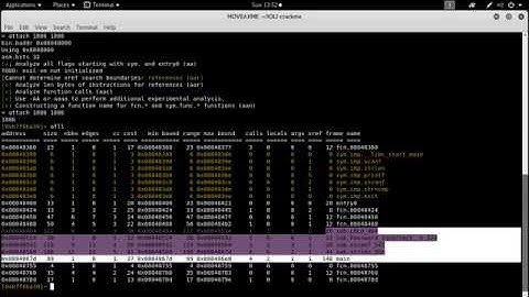 Crackme0x07 Dissected with Radare2