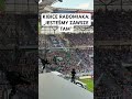 „JESTEŚMY ZAWSZE TAM” #radomiakradom #górnikzabrze #kibice #shorts #piłkanożna #ekstraklasa #kibice