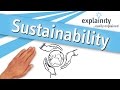 Sustainability explained explainity explainer