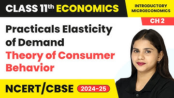 Practicals Elasticity of Demand - Theory of Consumer Behavior | Class 11 Economics Chapter 2 | CBSE