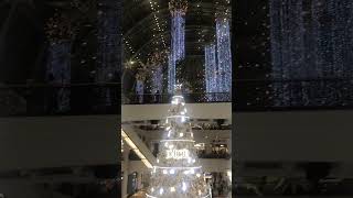 HAPPY HOLIDAYS #shorts #video #viral #shortsfeed #shortvideo #explore #holidays