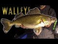 GIANT Walleye - Winter Walleye Fishing Tips and Techniques