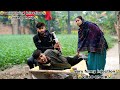 injection funny video punishment | girl crying for injection funny | injection comedy scenes