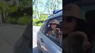 Curtindo As Férias Com A Família Em Floripa Sc