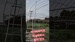 36평 아시바파이프 바닐하우스. 나홀로 셀프제작기. [48mm파이프 비닐하우스] 100% 1인 자작 #도시농부 #비닐하우스 #체류형쉼터 #셀프제작 #나혼자짓기
