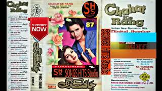 Pmc Album Chahat Ke Rang Super Hits  Jhankar By  Hits Studio Channel