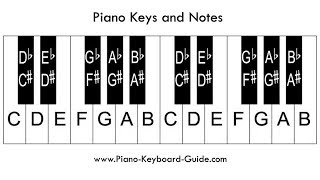 Labeling Piano Keys - Easy Way - Beginner's Piano Lesson screenshot 1