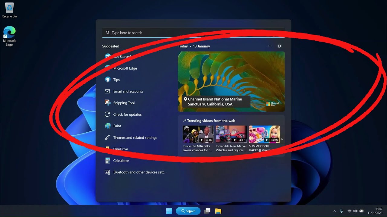 How To Remove Ads From Windows 11 Search Box