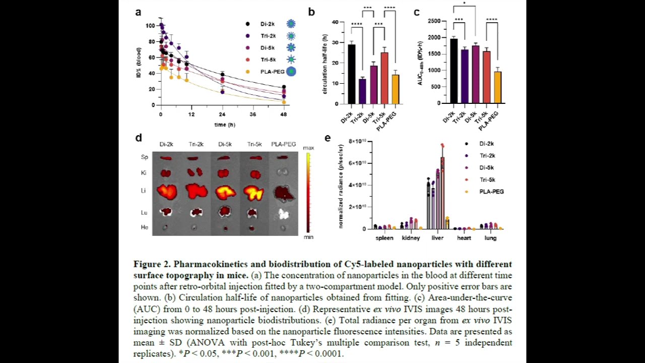 PLA-cyanine 5 from PolySciTech used in development of nanoparticles for research on circulation