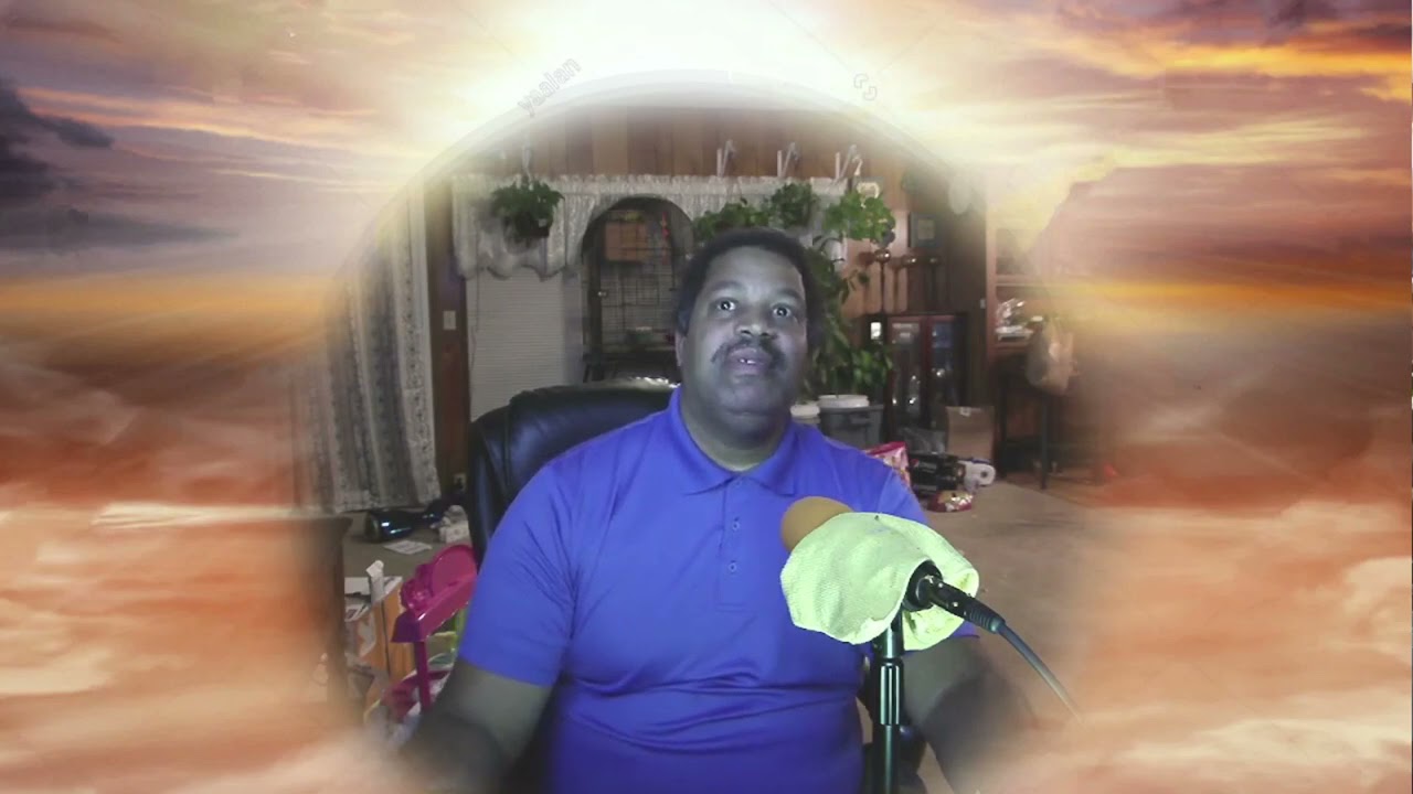 elvi zapata - soon we disappear