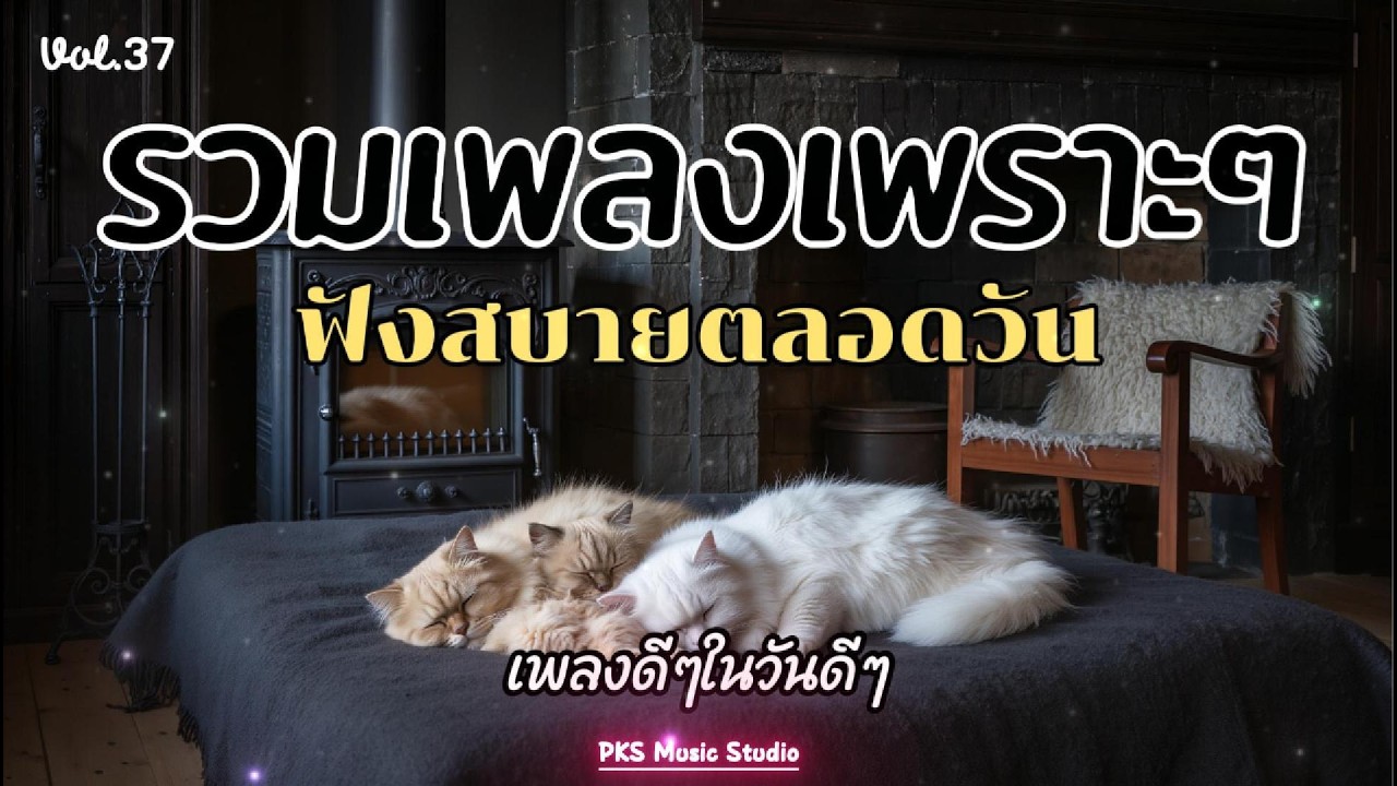 รวมเพลงเพราะๆ ใหม่ล่าสุด 2026 ฟังสบายๆ ไม่มีโฆษณาคั่น ฟังยาวๆ ฟังในร้านกาแฟ