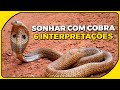 SONHAR COM COBRA: 6 diferentes interpretações conforme o sonho!