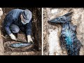 Greatest Archaeological Discoveries That Rewrite Human History