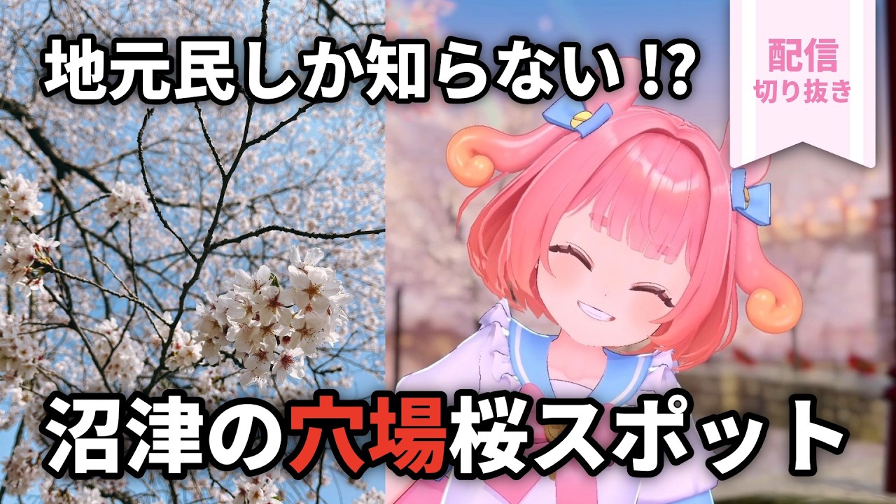 Hidden gems only known to locals!? A roundup of cherry blossom