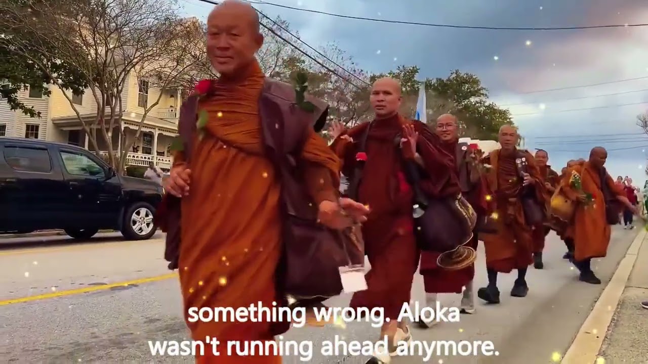 Aloka - Chú Chó Hòa Bình - the Peace Dog