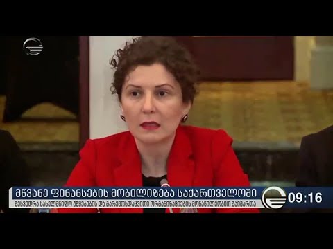 დიალოგი მწვანე ფინანასების მობილიზებისთვის