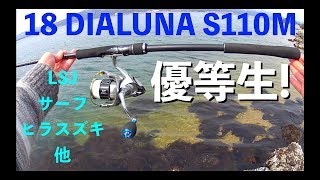 '18 DIALUNA S110M色々な釣りで使ってみた 編【レビュー】