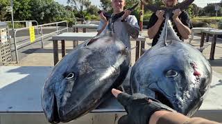 Josh In His Cootacraft Gunshoot 18Ft Boat, Caught Two Barrel Sbts 133, 135Kg Portland.