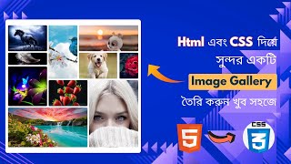 কিভাবে Html এবং CSS দিয়ে Image Gallery বানাবেন || How to make a Image Gallery using html and css ||
