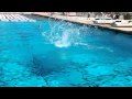 IMG_0018.MOV