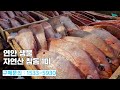 [신바람 수산물 협력농가 판매상품 1533-5930  (신선마켓.com)]연안 생물 자연산 참돔 1미생선계의 귀족, 아리따운 붉은 빛에 감도는 최고의 감칠맛!