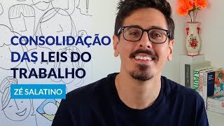 O que é CLT? | com Zé Salatino