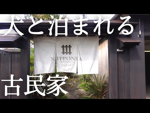 ここ最高…！築100余年のお洒落な古民家お宿でワンコと旅行｜ペットと泊まれるホテル｜千葉県