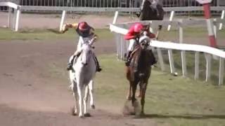 Fresh Milk Beats Carol Vontrell Again