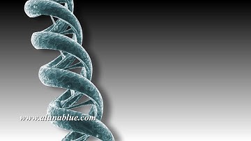 DNA 003 HD, 4K Stock Video