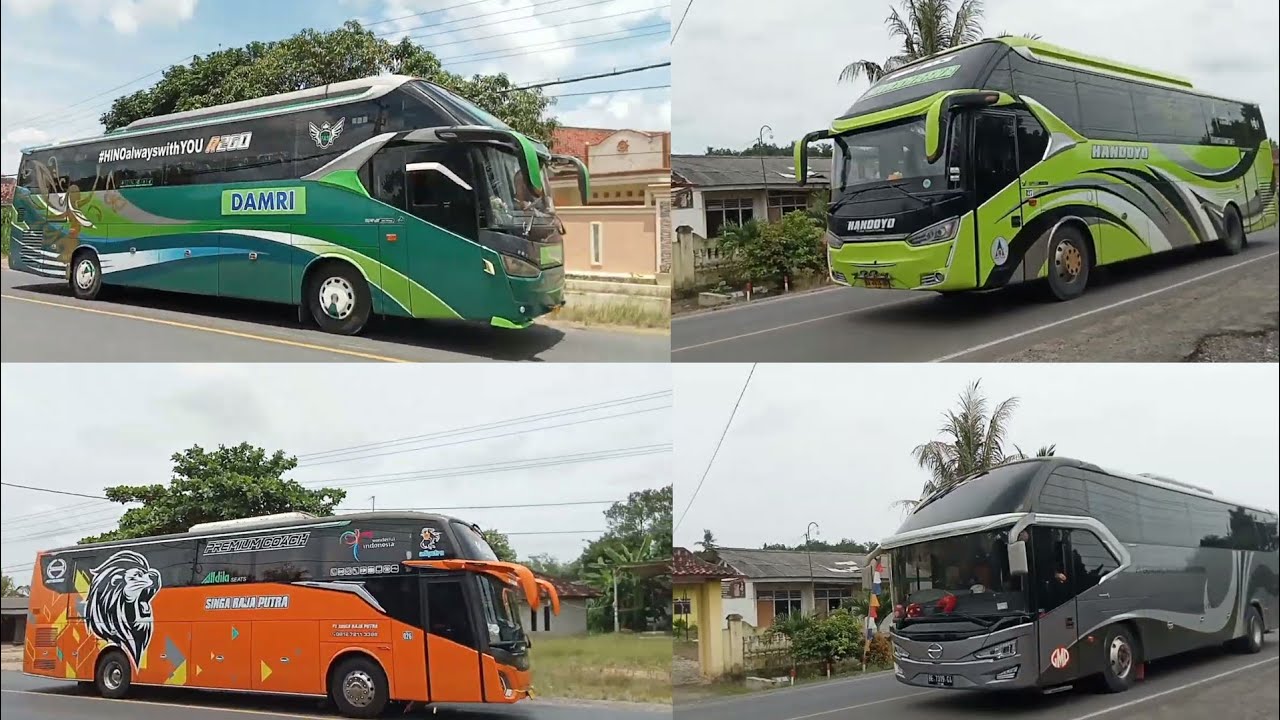 BUS HANDOYO, BUS DAMRI, BUS SINGA RAJA PUTRA, BUS PT GMP, BUS BILQIS TRANS, BUS PARIWISATA 